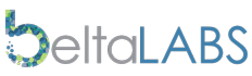 Belta Labs | Web Design | Digital Startup and Technology Logo